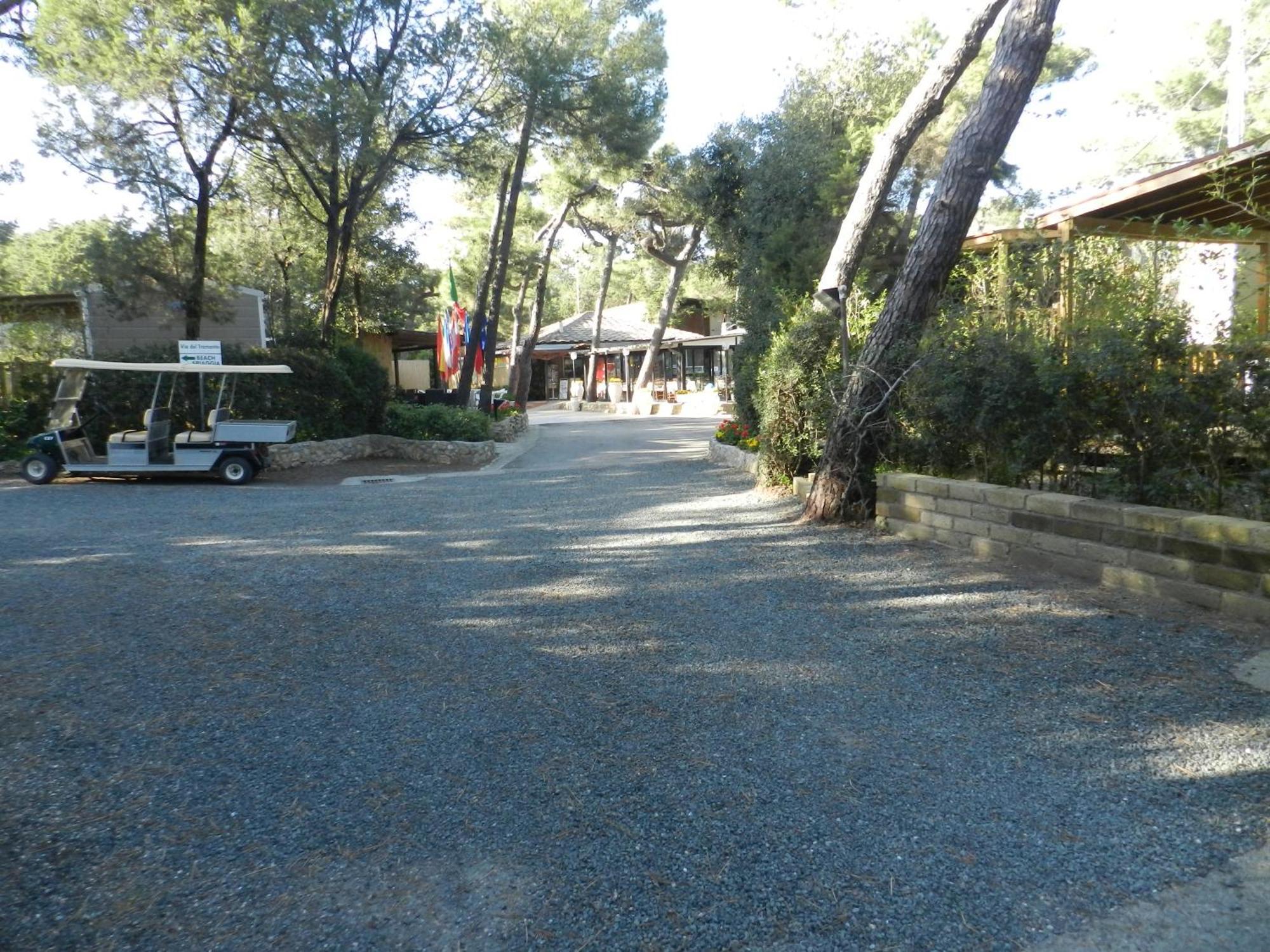 Camping Casa Di Caccia Hotel Marina Di Bibbona Buitenkant foto